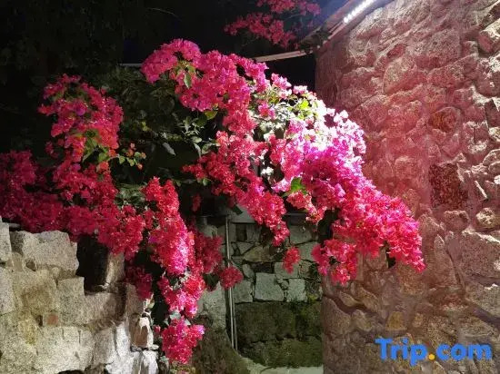 Taishan Yuhaixin homestay