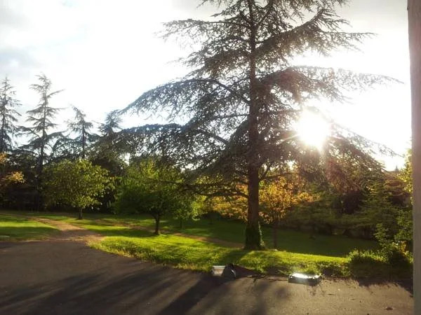 Domaine du Bocage