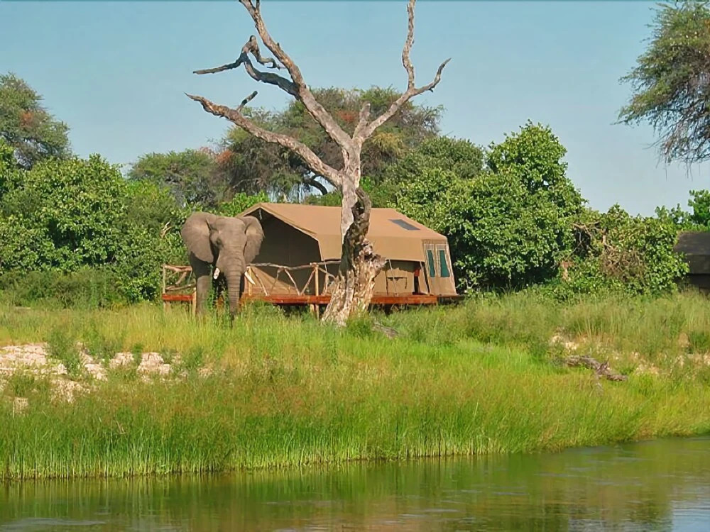 Camp Savuti