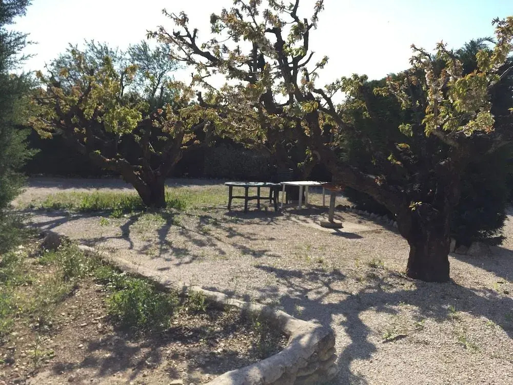 Zocalo Ranch