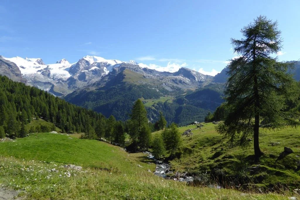 Rifugio Grand Tournalin