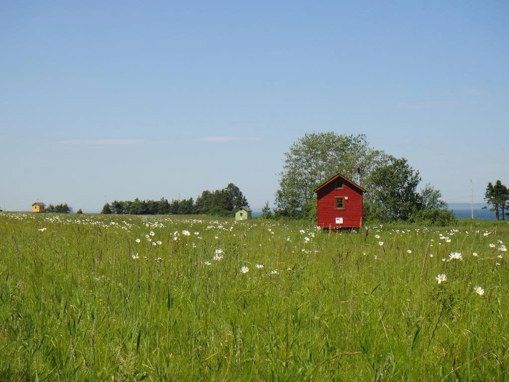 Domaine Floravie