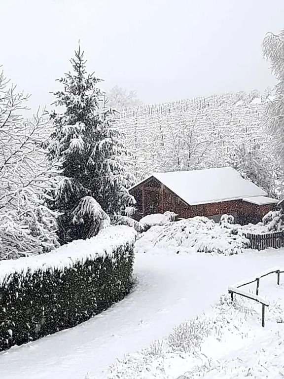 Valditerra Vini - B&B La Rombetta