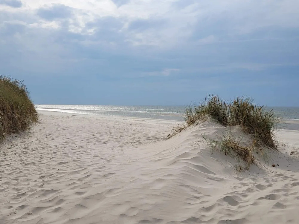 4 star holiday home in Blåvand