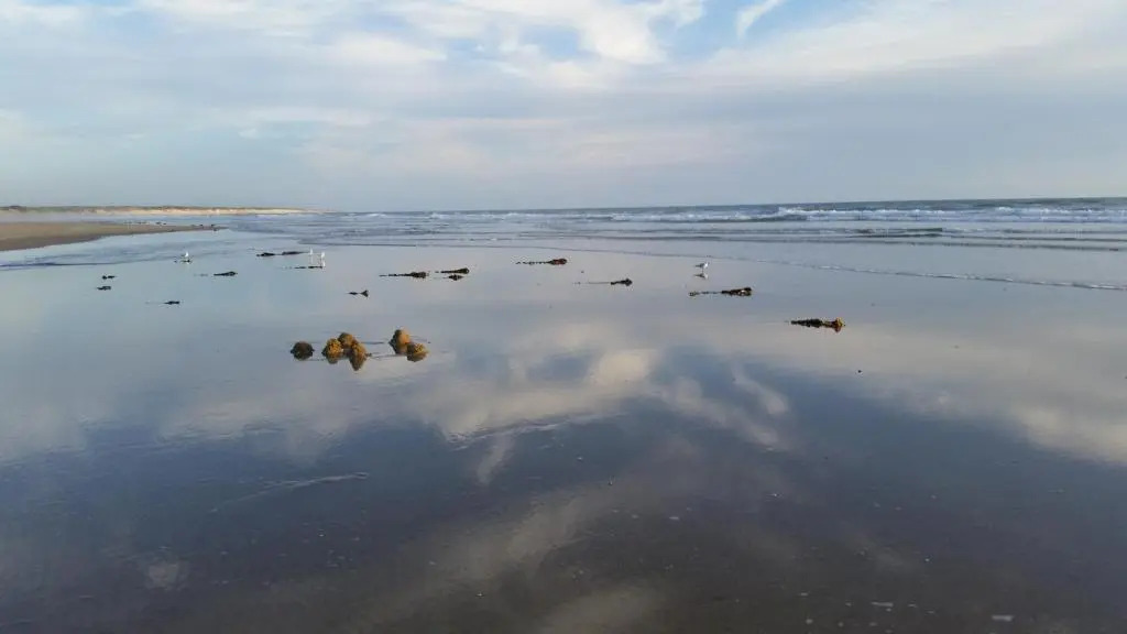 Demeure 300M De La Plage
