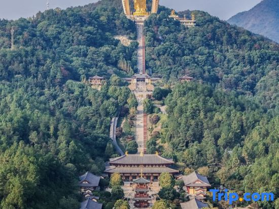 Jiujiang LushanScenic picturesque No. 1 Garden Meisu (Donglin Giant Buddha Store)