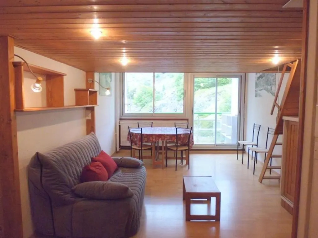 Appartement Gourette, 1 pièce, 4 personnes - FR-1-400-11