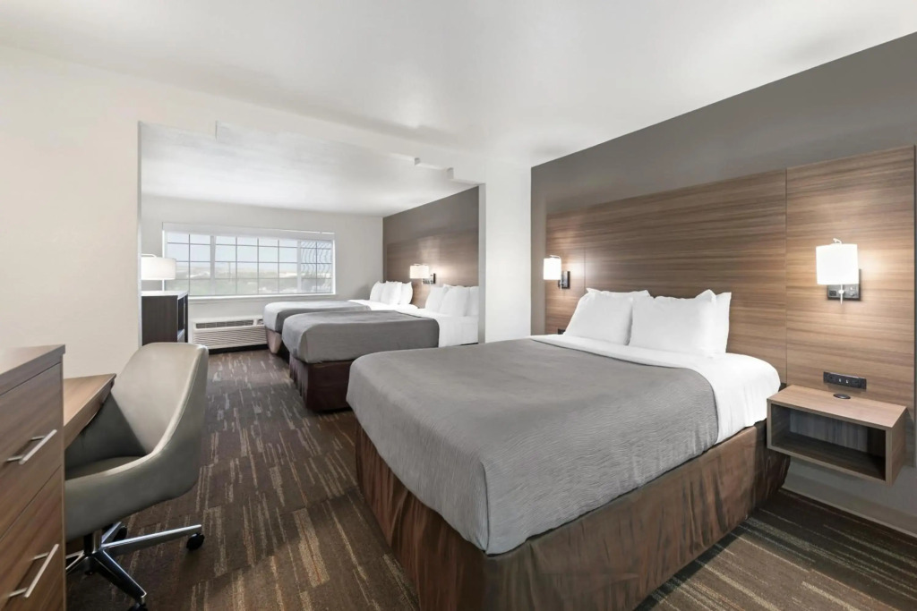 Quality Inn Near Seaworld - Lackland