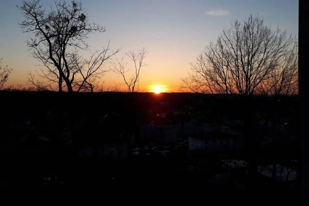 Private room with free VVO ticket & sunset view & Wi-Fi & cats in the house
