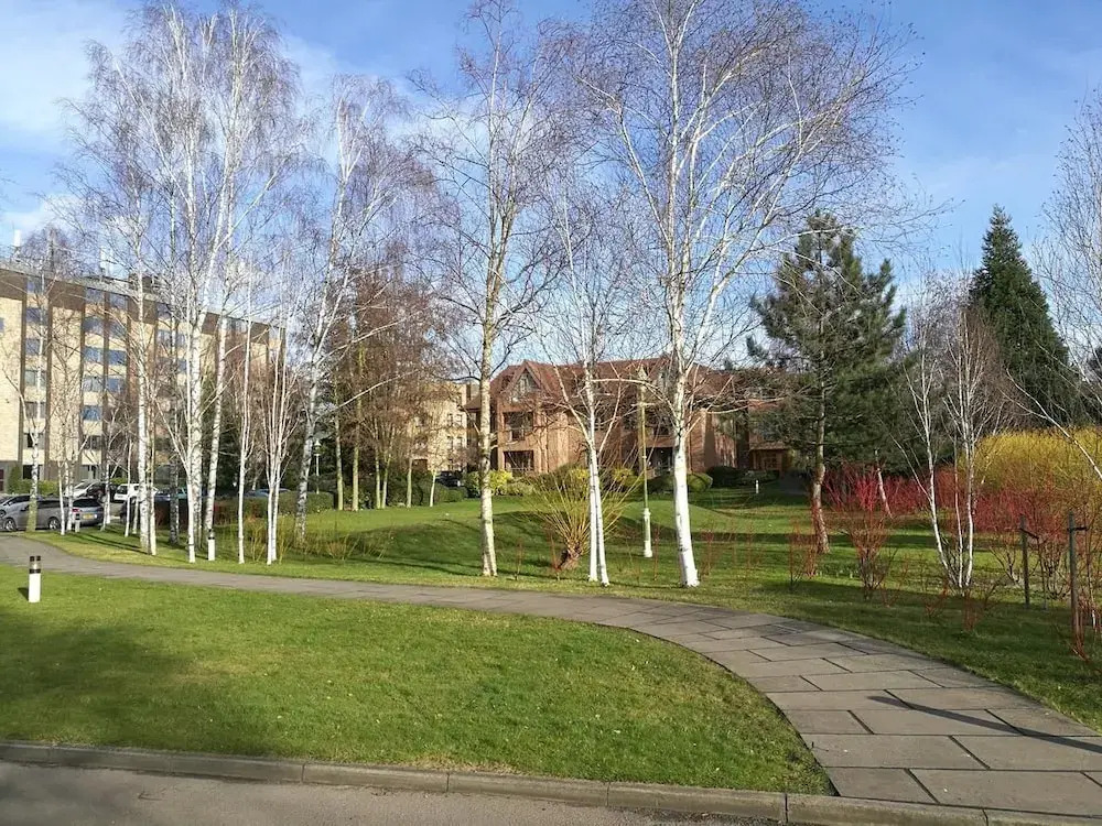 Gold Rush Apartments