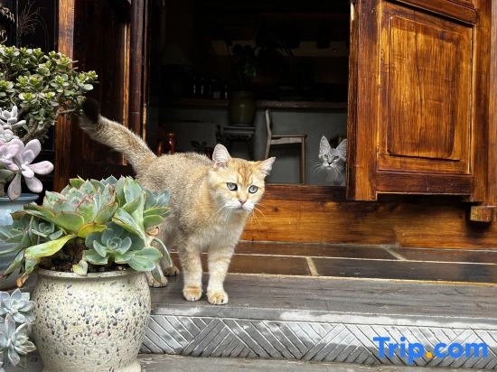 Qingyan Yifang Courtyard Homestay
