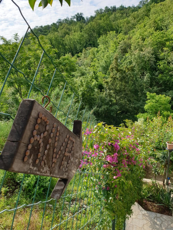 B&B collina e mare