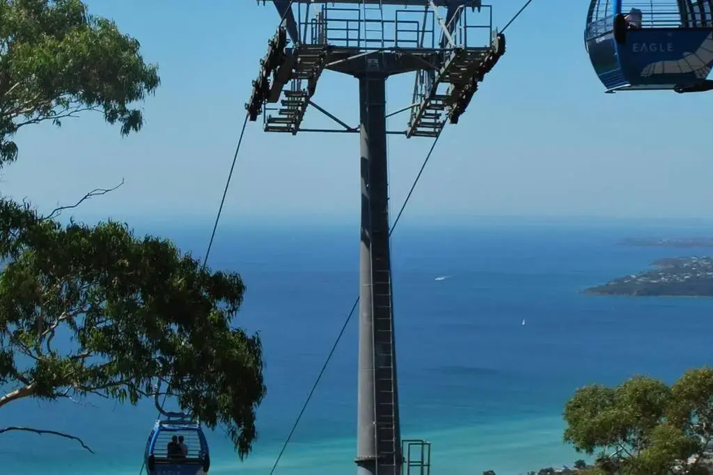 Beachside Rosebud Retreat with Wheelchair access