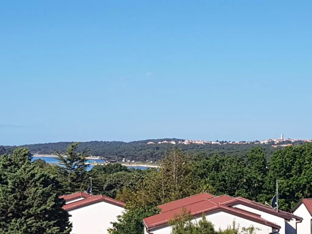 Apartment Paša