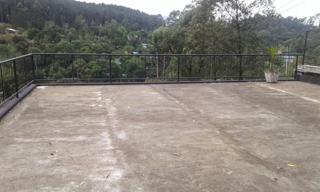 Alta Vista