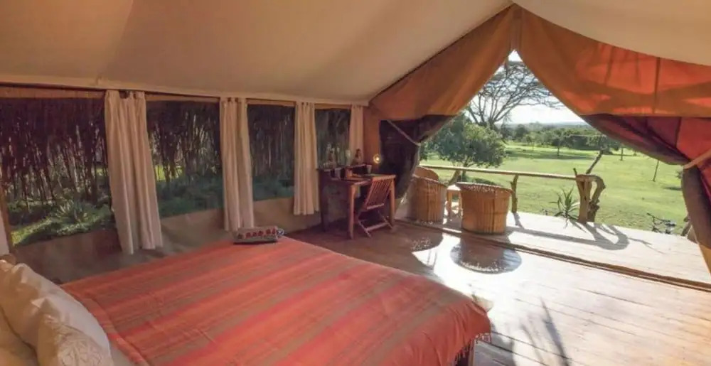 Ekorian's Mugie Camp