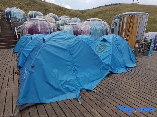 Wugong Mountain Jinding Tent Camp