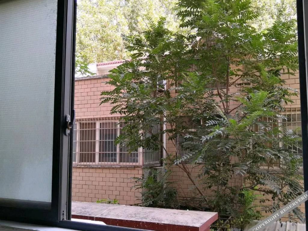 Tokyo Holiday Inn (Kaifeng Qingming Shangheyuan Henan University Jinming Campus)