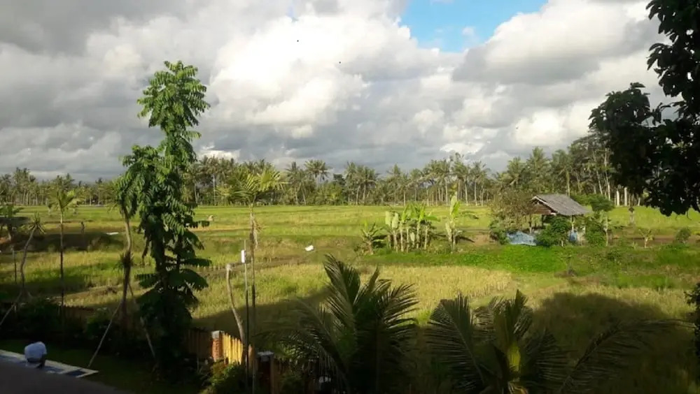 Villa Uma Dangin