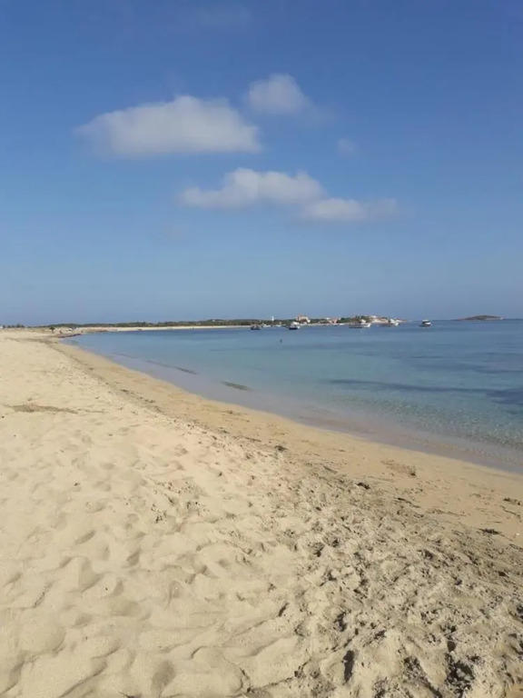 Domu de Palla
