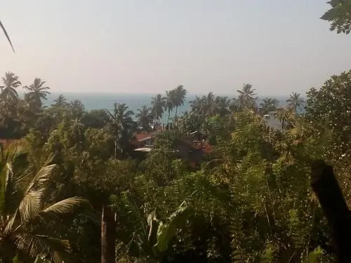 Sasaa Guest House