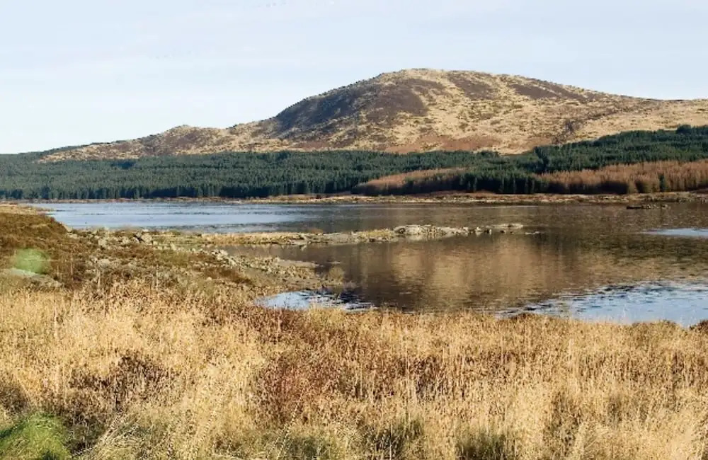 Stunning 2-bed Cottage Countryside Outside Ayr