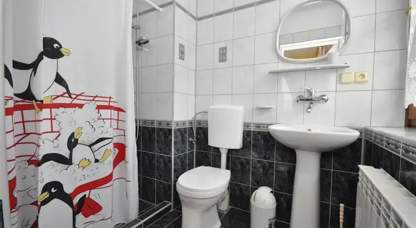 WillaBukovinka - bliskość lasu, wyciągów i term, atrakcje dla dzieci, ZNIŻKI NA wyciągi, termy, karczmy i atrakcje