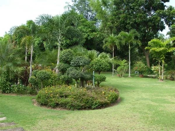 Suwan Guesthouse & Resort