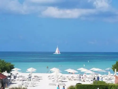 Palm Beach Paradise