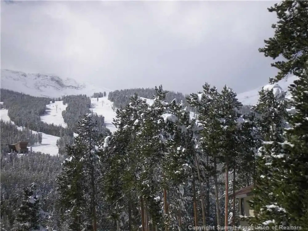 Timber Hill