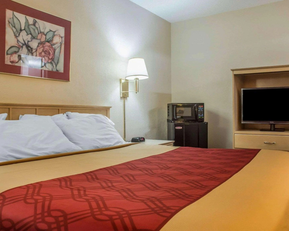 Econo Lodge Dewitt I-90