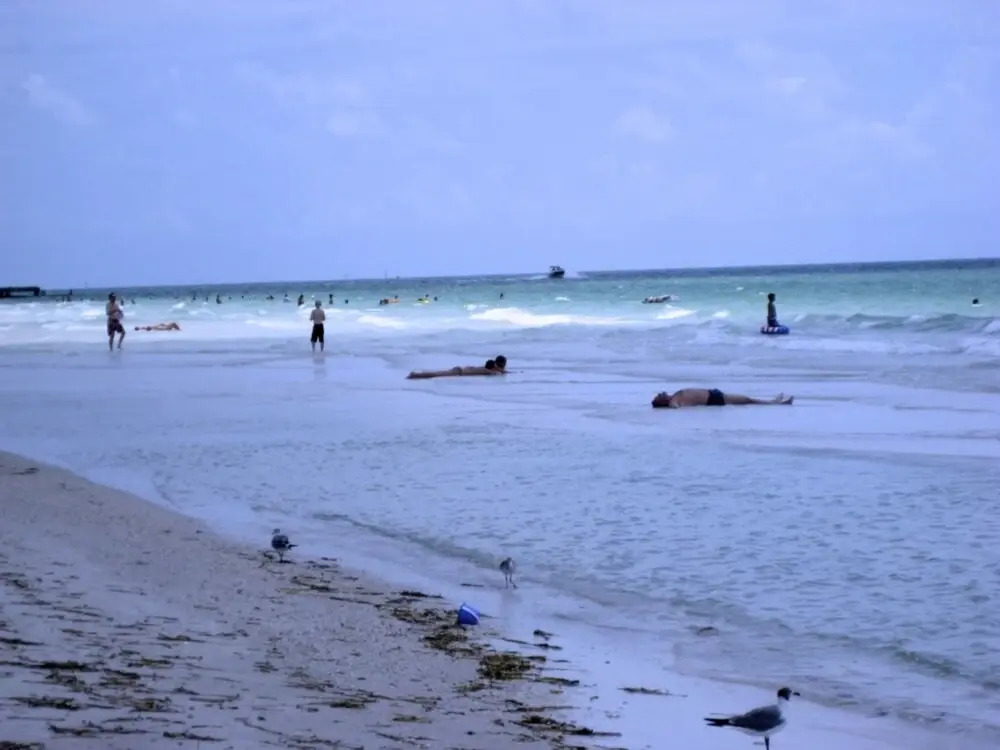 Anna Maria Island 1301 5B