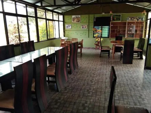 Misty Wood Resorts