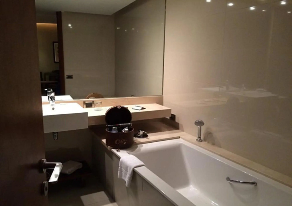 Hotel Dreams Araucania