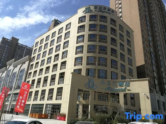 Magnotel Hotel (Weinan Duhua Road Haixing City)