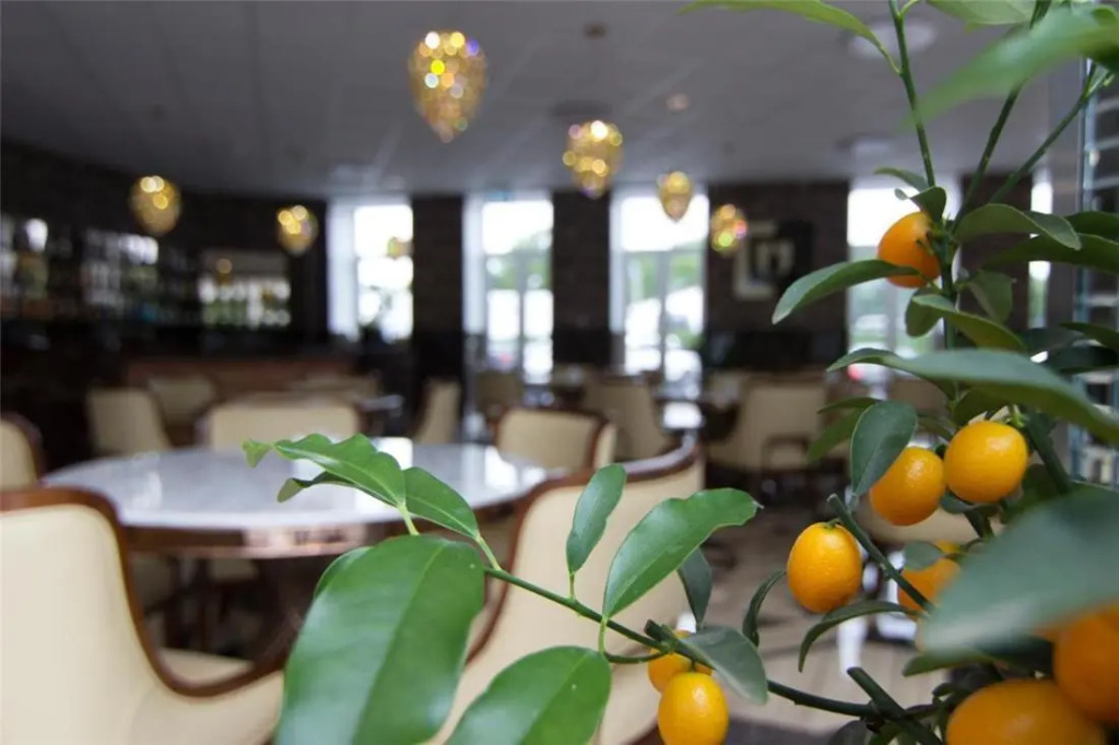 A Hotels Glostrup