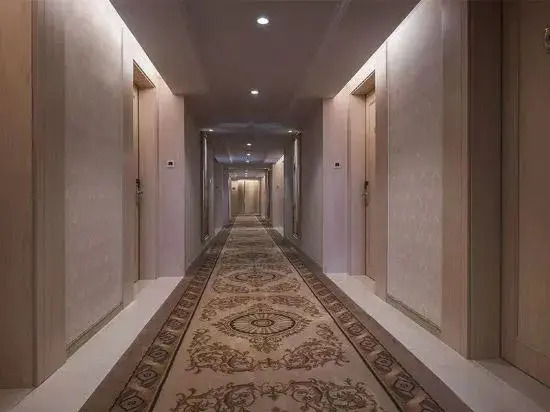 Vienna International Hotel (Li County Administrative Center New District)