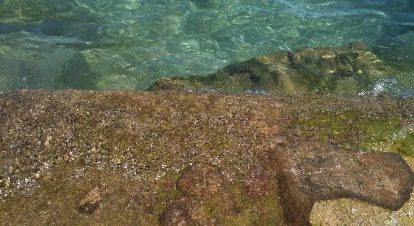 Punta Del Corno Agriturismo