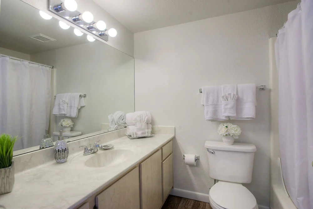 Park Suites at 237 - One Bedroom Apartment