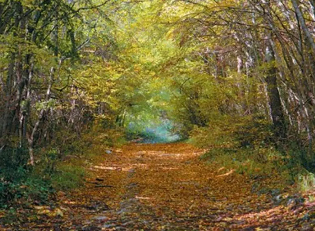 Kaiserwald