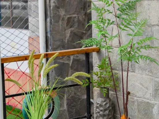Wenzhou Qishui Sanshe Homestay