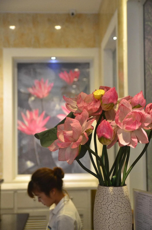 Tran Gia Lang Ha Hotel