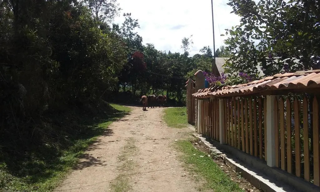 Hostal Altos Del Magdalena