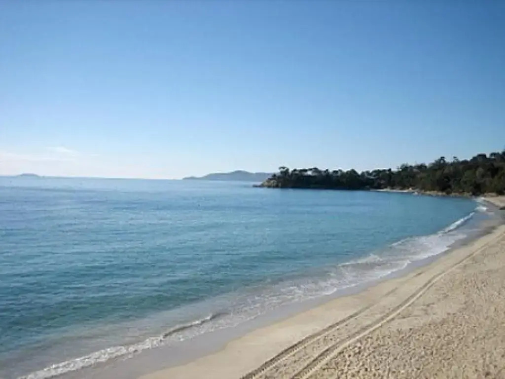 Appartement Le Lavandou, 2 pièces, 5 personnes - FR-1-251-364