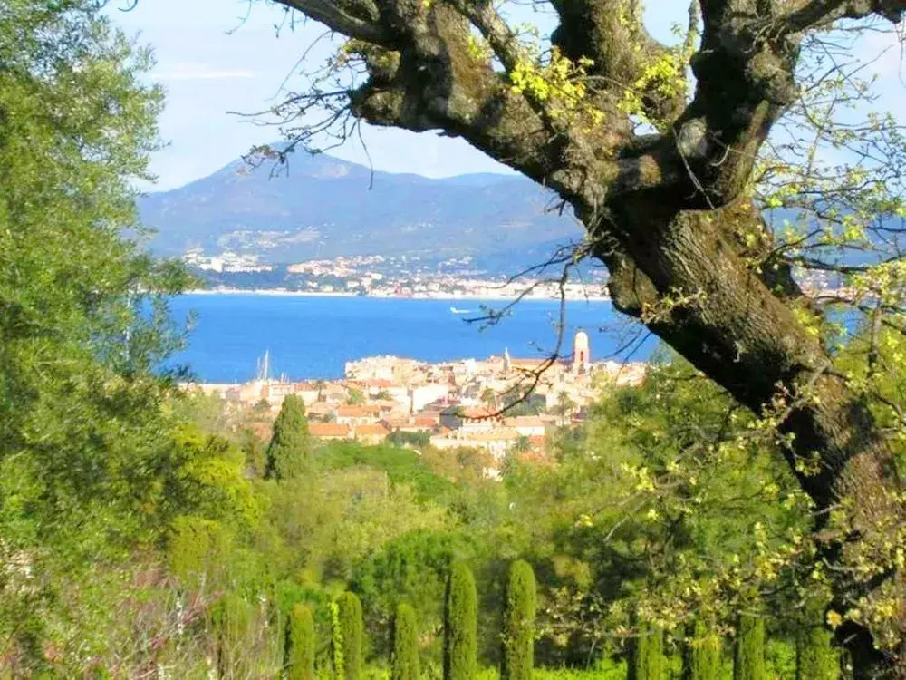 Villa Virginie - Provencal Villa