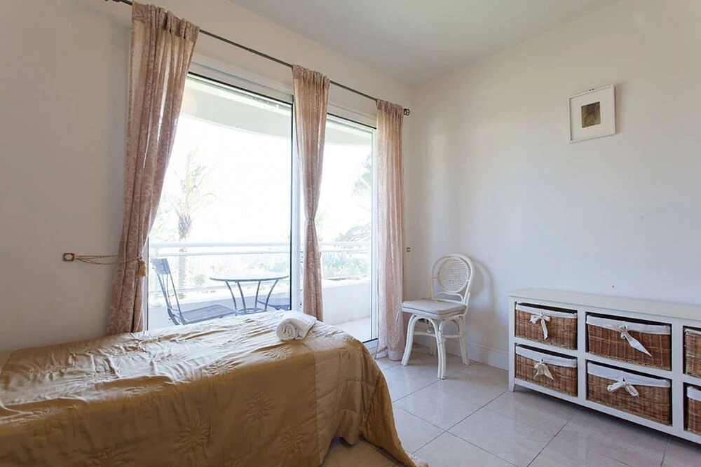 Royal Palm 127