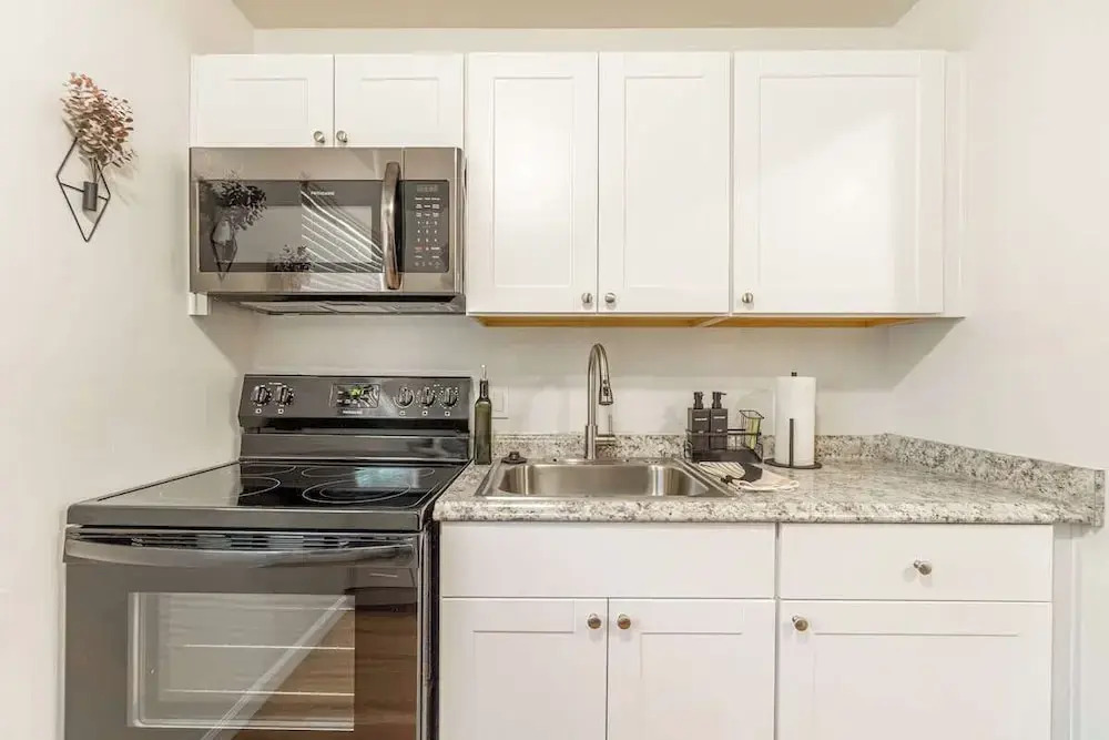 Designer Living Pet-friendly UNR 2BR 1BA