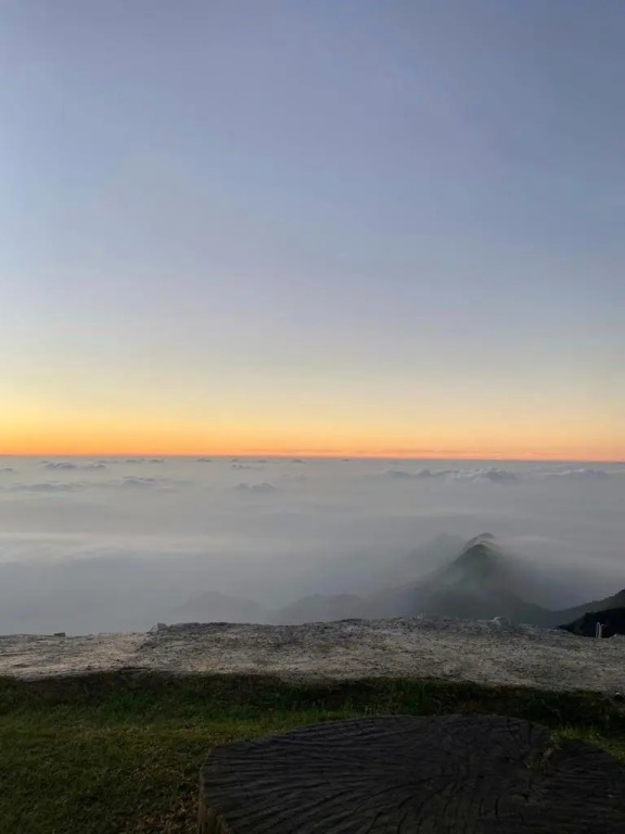 Four Views