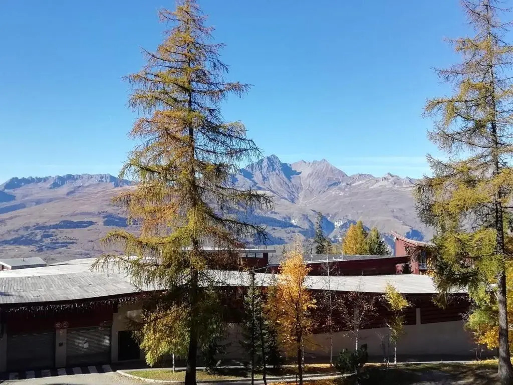 Appartement Les Arcs 1800, 2 pièces, 6 personnes - FR-1-411-219