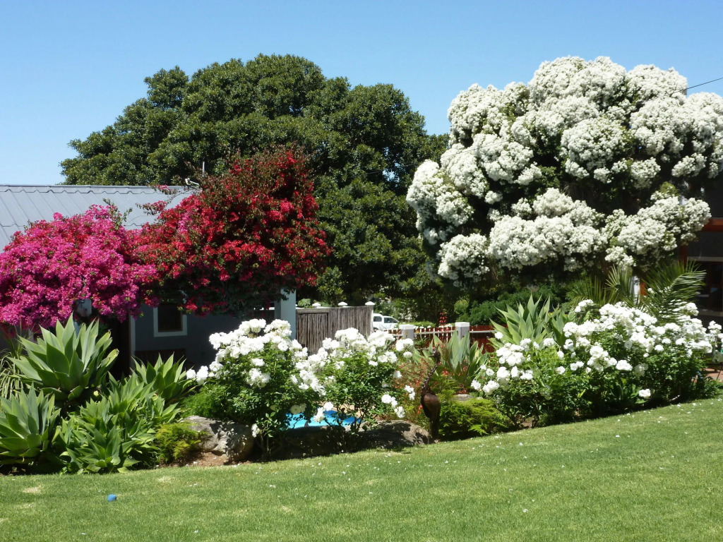 Marula Lodge